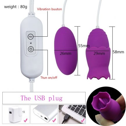 12 Speeds Tongue Oral Licking Vibrators, USB Vibrating Egg, G-spot Vagina Massage