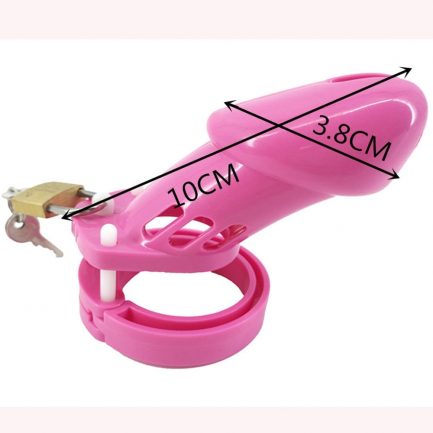 CB6000 Male Chastity Device, Cock Cage With 5 Size Rings,