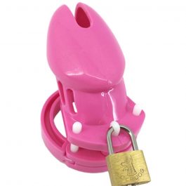 CB6000 Male Chastity Device, Cock Cage With 5 Size Rings,