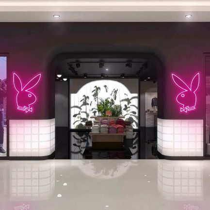 Party Gift Home Decoration, Rabbit Custom Neon Light Led, Decor for Store, Office Or Bar