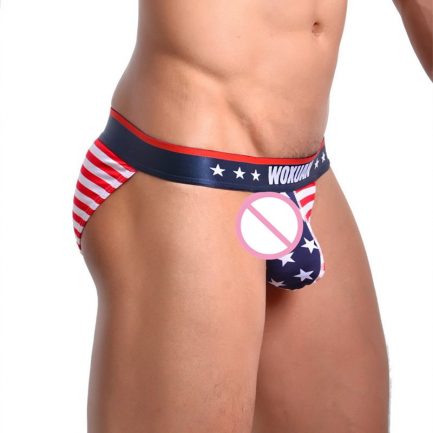 USA Flag Men’s Briefs Sexy Low Waist Underpants Cotton Men Underwear Striped Underpants